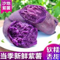 [5斤精选中果]紫薯新鲜紫薯山东沂蒙山紫薯沙地紫薯地瓜紫心红薯紫地瓜2/5/10斤甘鲜生
