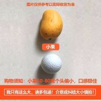 实惠果 3斤小果【个头偏小】 【精品】海南小台农芒果新鲜水果小台芒小芒果整箱批发3/5/10斤甘鲜生