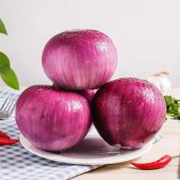 紫皮10斤普通中果 10斤紫皮洋葱批发圆葱5斤农家自种现挖红皮葱头洋葱新鲜蔬菜甘鲜生