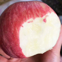 (净重5斤)小果13-15枚 现摘现发陕西红富士苹果10/5斤脆甜当季新鲜苹果水果整箱批发甘鲜生