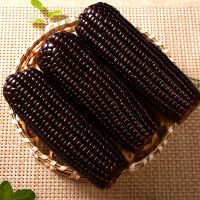 精品黑糯玉米200g*10支装 东北特产新鲜黑糯玉米棒玉米粒甜糯粘玉米水果玉米真空包装代餐甘鲜生