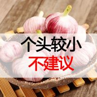 鲜蒜5斤小果(个头较小) 山东金乡大蒜现挖新鲜紫皮鲜蒜大蒜头腌制糖醋蒜整箱批发5/10斤甘鲜生