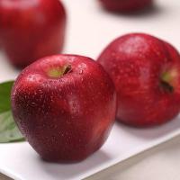[带箱10斤中果]家庭装 甘肃天水花牛苹果5/10斤新鲜当季水果刮泥粉面应季红蛇果6枚甘鲜生