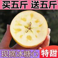 带箱10斤大果[店长推荐很脆甜] [超甜冰糖心]陕西苹果水果红富士10斤脆甜丑苹果批发整箱非烟台甘鲜生