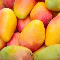 精选装 (小果)带箱3.2-3.5斤 [现摘现发]海南贵妃芒应季新鲜水果红金龙芒果热带整箱批发甘鲜生