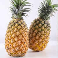 [实惠装]大菠萝+5斤 新鲜大菠萝水果香水菠萝手撕凤梨徐闻大菠萝脆爽香甜云南菠萝蜜甜甘鲜生