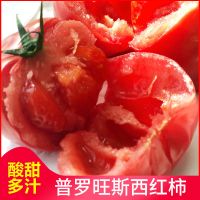 普罗旺斯西红柿(精品) 3斤试吃装 普罗旺斯沙瓤水果西红柿5/3斤洋柿子新鲜水果蔬菜露天自然熟番茄甘鲜生