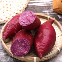 10斤精选紫薯(中大果) 山东沂蒙山紫薯紫罗兰红薯新鲜蔬菜现挖地瓜粉糯主食番薯2/5/10斤甘鲜生