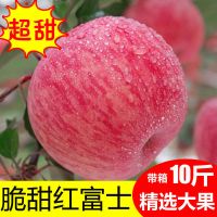 带箱9.5-10斤中果(性价比高) [冰糖心]陕西红富士苹果水果新鲜10/5斤批发一整箱冰糖心甘鲜生