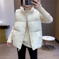 佚貌YIMAO 网红同款2021冬季立领拉链韩版纯色钉子款直插口袋马甲女款