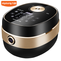 九阳(Joyoung)电饭煲F-40T5