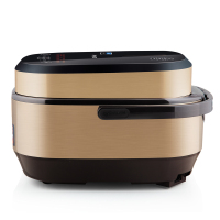 九阳电饭煲F-40FY1