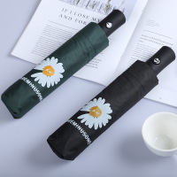 新款自动款九合GD同款系列小雏菊太阳防晒伞防紫外线遮阳伞男女通用晴雨两用伞