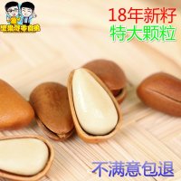 东北手剥开口松子松籽   孕妇秒杀特价特级装含重 原味大颗粒松子 _666_707