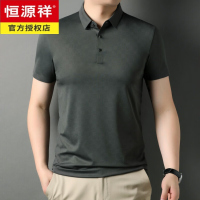 恒源祥中青年男士夏季翻领短袖T恤商务休闲冰丝有领格纹半袖男装体恤衫