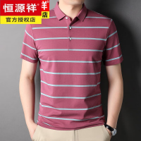 恒源祥翻领短袖T恤中年男士爸爸夏装商务休闲条纹打底衫男士半袖上衣潮