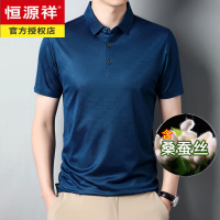 恒源祥男士桑蚕丝短袖T恤衫夏季新款休闲时尚韩版中青年爸爸装薄款t恤