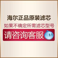 海尔淋浴花洒过滤器滤芯 洗澡花洒HS-01沐浴净水器滤芯