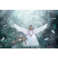 智能主题拍摄(底片全送)