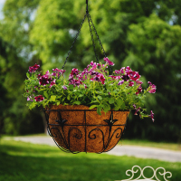 叶哇[两只装]经典铁艺壁挂悬挂花架椰棕垫吊篮花盆绿萝欧式吊兰架花篮 整套大号