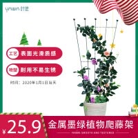 铁线莲爬藤架月季花架墨绿色扇形攀爬植物类支架 铁艺植物爬藤室内花盆稳固支架大号