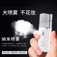 纳米喷雾补水仪便携式脸部保湿补水蒸脸器美容仪充电加湿器（L1经典款喷雾器）