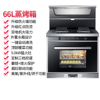 集成灶自动清洗侧吸黄金蛋下排双电机抽油烟机家用蒸烤箱一体灶 T708A-双电机-蒸箱烤箱一体带防火墙保护 液化气左右排烟