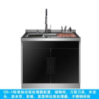Q5集成水洗碗机家用古达洗碗大容量刷碗机抽拉式全自动净水器 Q5-1储物柜集成水槽(D配置)