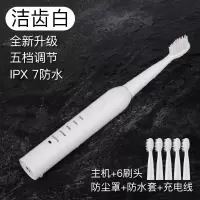 电动牙刷黄金蛋家用成人男女充电防水声波儿童软毛全自动牙刷 洁齿白充电款5档位(6刷头)