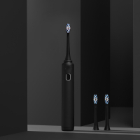 电动牙刷成人金蛋全自动充电式超声波学生党软毛情侣套装男士女 绅士黑[享3个原装刷头+旅行盒]