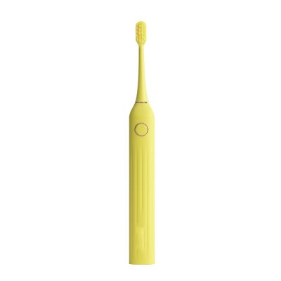 电动牙刷黄金蛋女声波情侣套装充电式全自动牙刷男定制 R1SunSong黄