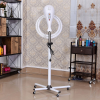 美发加热器黄金蛋烘发机发廊定型冷烫加热机器海豚飞碟加速器烫发机 立式手动版加大脚(白色)[白/灰可选]