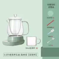 办公室迷你养生壶mini小型家用古达花茶壶玻璃网红煮茶器多功能电茶炉 0.8L养生壶-森林绿[双杯]