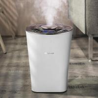 小熊(bear)加湿器家用办公室孕妇婴儿专用智能抑菌空气净化机大雾量定制商品