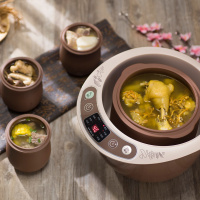 小熊(bear) DDZ-C25Z2紫砂锅电炖锅家用全自动陶瓷养生煲汤锅定制商品