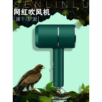 电吹风机宿舍用学生小功率500w800w1000家用负离子小型吹风筒定制商品