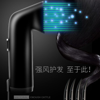 吹风机家用理发店冷热大小功率发廊电吹风学生宿舍寝室男女定制商品
