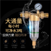 阻垢器 家用前置过滤器 自然水管道反冲洗净水器不锈钢网硅磷晶 1寸铜前置配4分活接带压力表