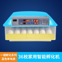 阿斯卡利(ASCARI)孵小鸡的孵化器泡沫箱机器家用全自动小型卵化器鸡蛋孵化箱孵化机 36枚一键孵化单电源定制商品