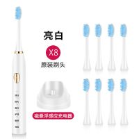 成人电动牙刷USB感应充电防水电动牙刷声波成人儿童自动牙刷软毛 亮白磁悬浮感应充电+8刷头定制商品