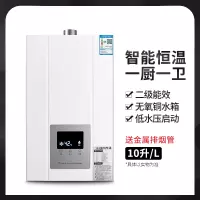 家用燃气热水器煤气液化气天然气液化恒温式8升10升特价 10升智能恒温铜水箱豪华配件 天然气定制商品