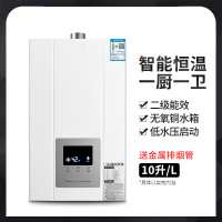 家用燃气热水器煤气液化气天然气液化恒温式8升10升特价 10升智能恒温铜水箱豪华配件 液化定制商品