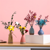 莫兰迪迷你小花瓶ins风米魁茶几桌面客厅插花装饰品干花摆件家居摆设