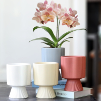 半只橙子简约陶瓷花盆高款室内发财树文心兰蝴蝶兰专用盆吊兰多肉绿植大盆