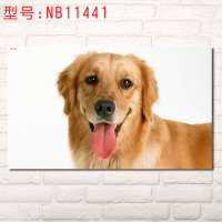 宠物店装饰画客厅狗狗挂画个性小狗壁画儿童墙画现代简约海报卧室装饰画客厅装饰画送双面胶10元商品免邮 NB11441 50
