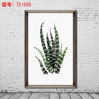 贴贴福 现代简约客厅装饰画北欧沙背景墙餐厅小清新挂画壁画田园植物送双面胶十元 TE1698 40*60（客户）
