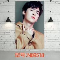 李易峰海报麻雀诛仙青云志电视剧 明星周边同款写真集壁画壁装饰海报卧室床头画 NB9518 50*30（客户）