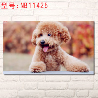 狗狗海报 儿童房宠物店诊所萌宠壁画壁纸画像装饰画挂画艺术挂画dog卧室装饰画客厅装饰画送双面胶10元 NB11425 5