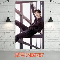 exo鹿晗明星海报 明信片写真集周边墙纸挂画装饰海报 粉丝海报卧室装饰画 NB9787 50*30（客户）