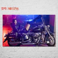 贴贴福 摩托车哈雷公路赛机车炫酷海报壁纸墙画挂画贴画酒吧咖啡厅寝室书房酒吧海报送双面胶十元 NB13716 50*3